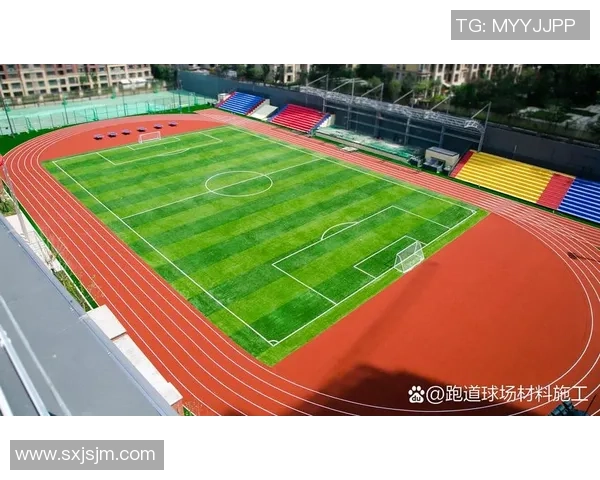足球草坪公司助力绿色环保运动场建设提升运动体验与场地质量