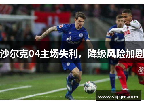 沙尔克04主场失利，降级风险加剧