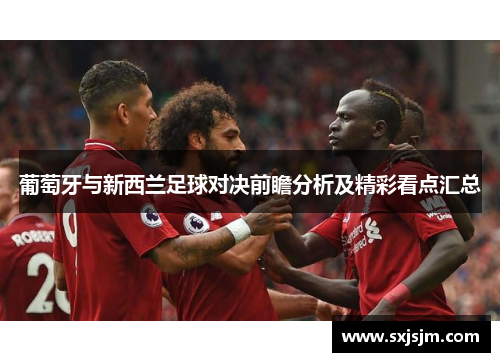 葡萄牙与新西兰足球对决前瞻分析及精彩看点汇总